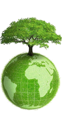 �ƶ�����yd888(�й�)���޹�˾����